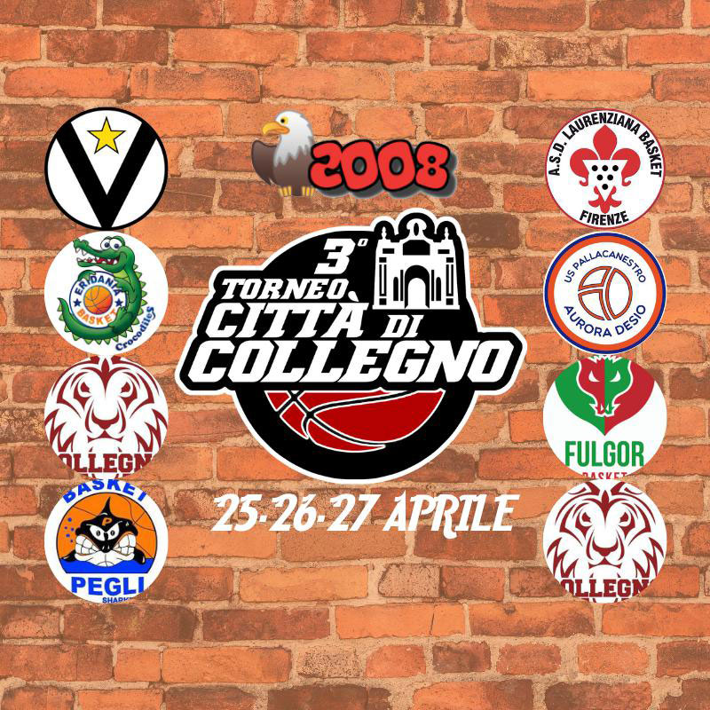 torneo collegno 2008