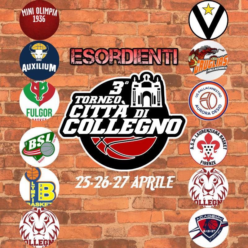 torneo collegno esordienti